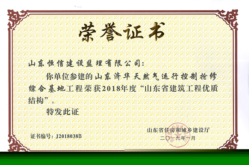 山东济华天然气-2018年度省优质结构